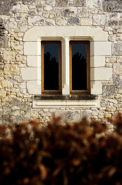 Bed and Breakfast Manoir Du Bois Noblet Louerre Exterior foto