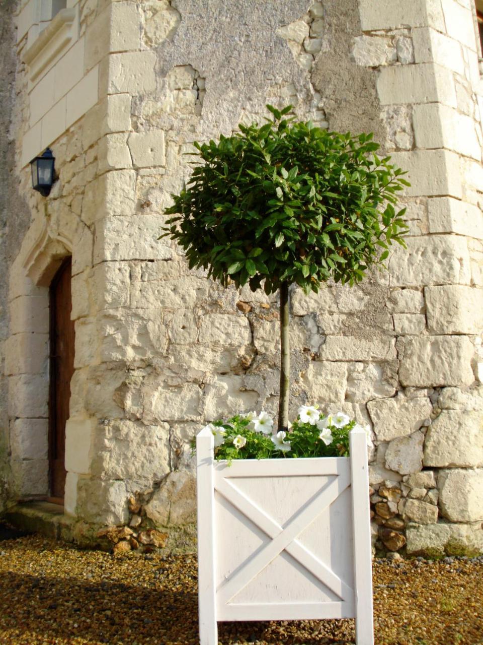 Bed and Breakfast Manoir Du Bois Noblet Louerre Exterior foto